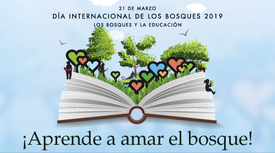 Día internacional de los bosques