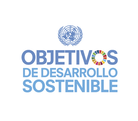 ONU, objetivos de desarrollo sostenible