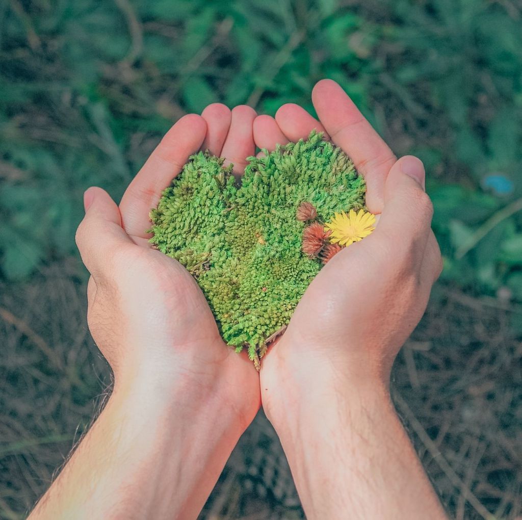 salud y cambio climático