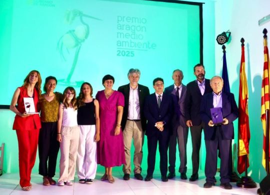 NoticiaPremiosMA25